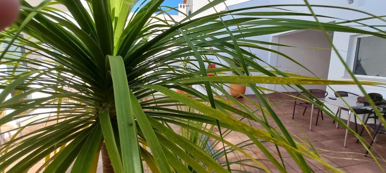 Apartamentos Naturalis Vila Nova de Milfontes Eksteriør bilde